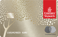 Emirates Skywards Premium World Elite Mastercard® card art
